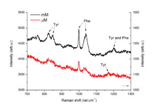 SERS spectra of Insulin on Premium-Silver obtained by Dr. Adriana Annušová